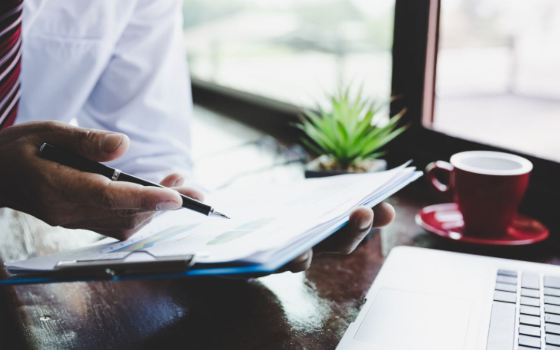 Plagiarism Check & Removal Services